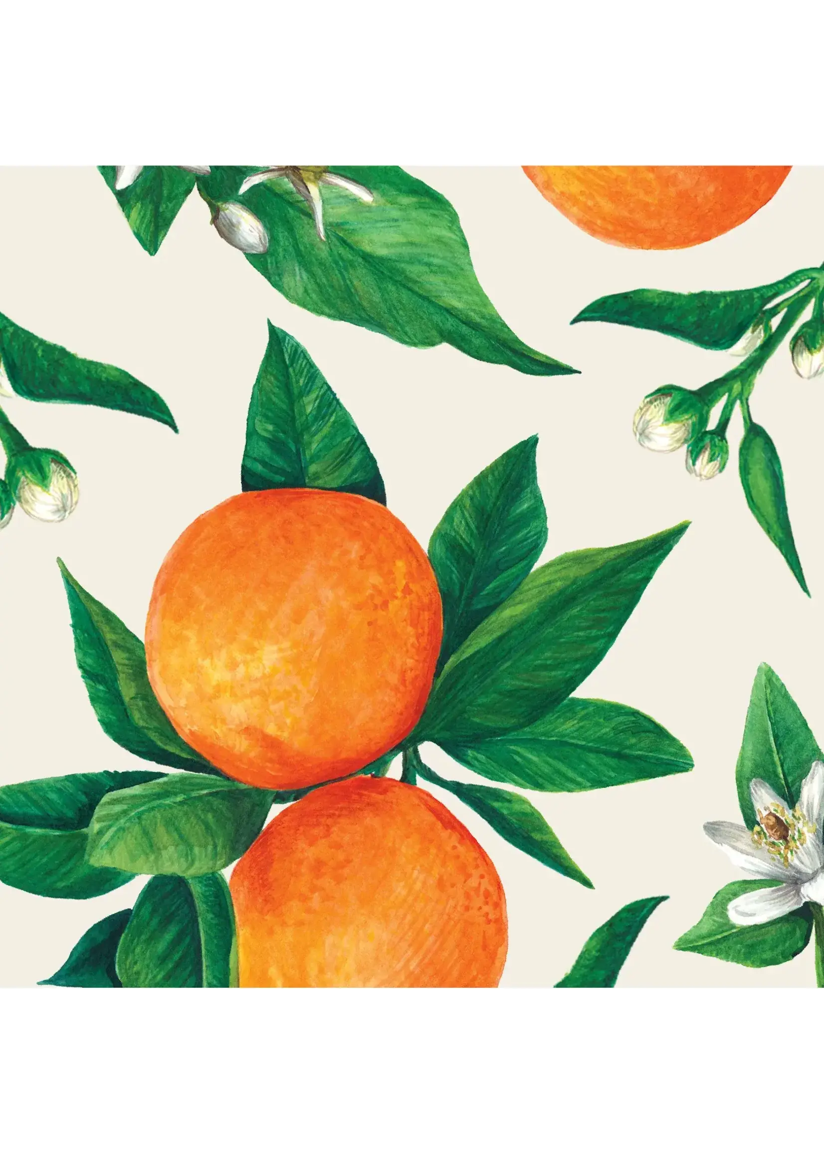 Cocktail Paper Napkins - Orange Orchard