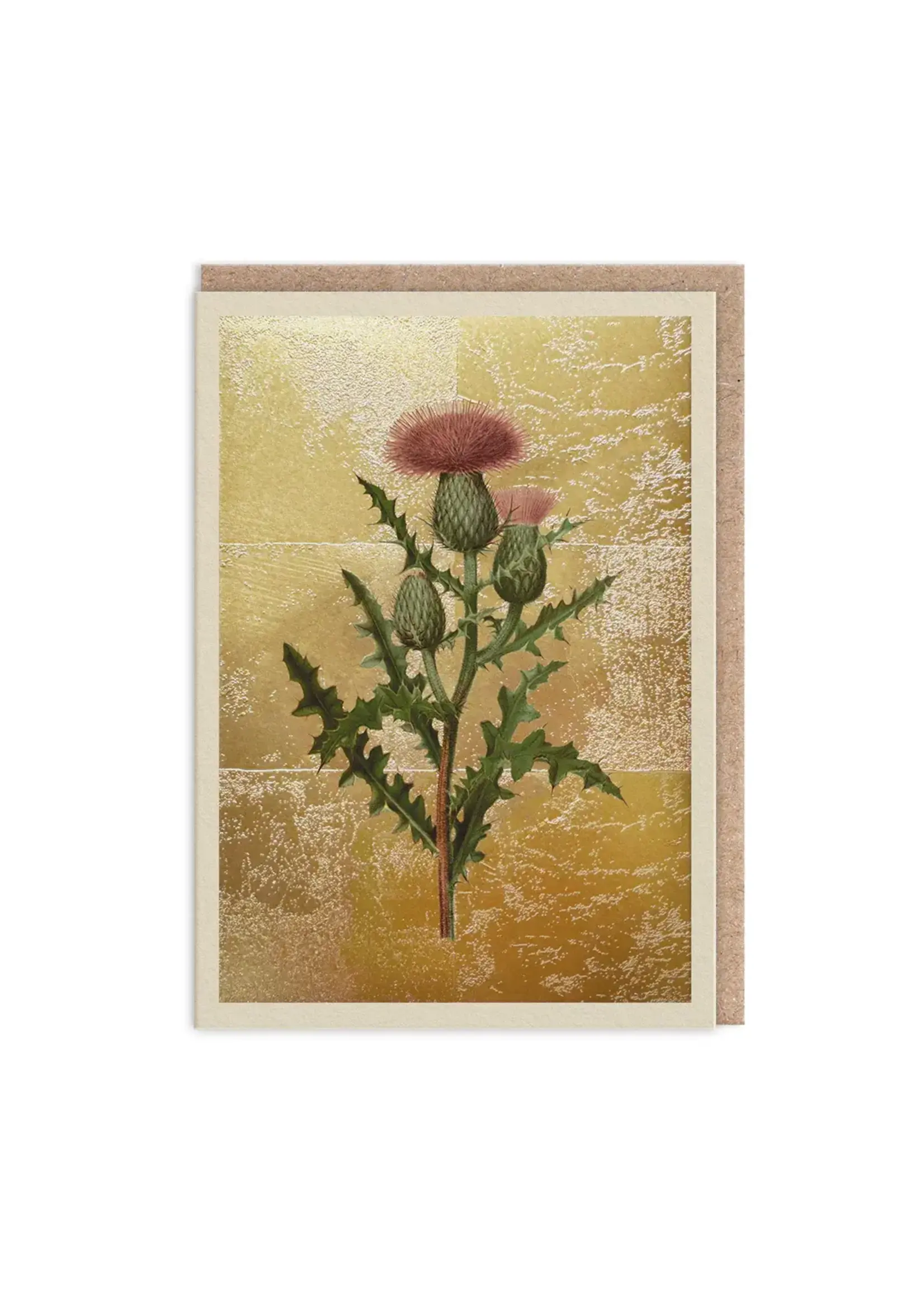 Ohh Deer Thistle Greeting Card