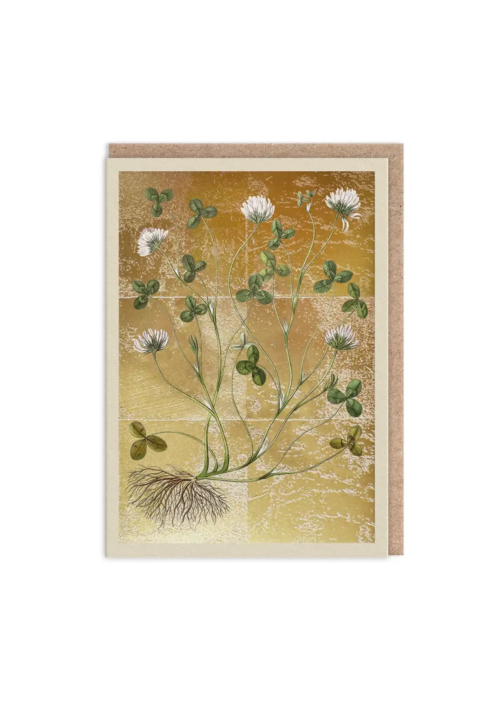 Ohh Deer Clover Greeting Card