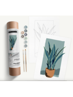 Coloready Potted Snake Plant