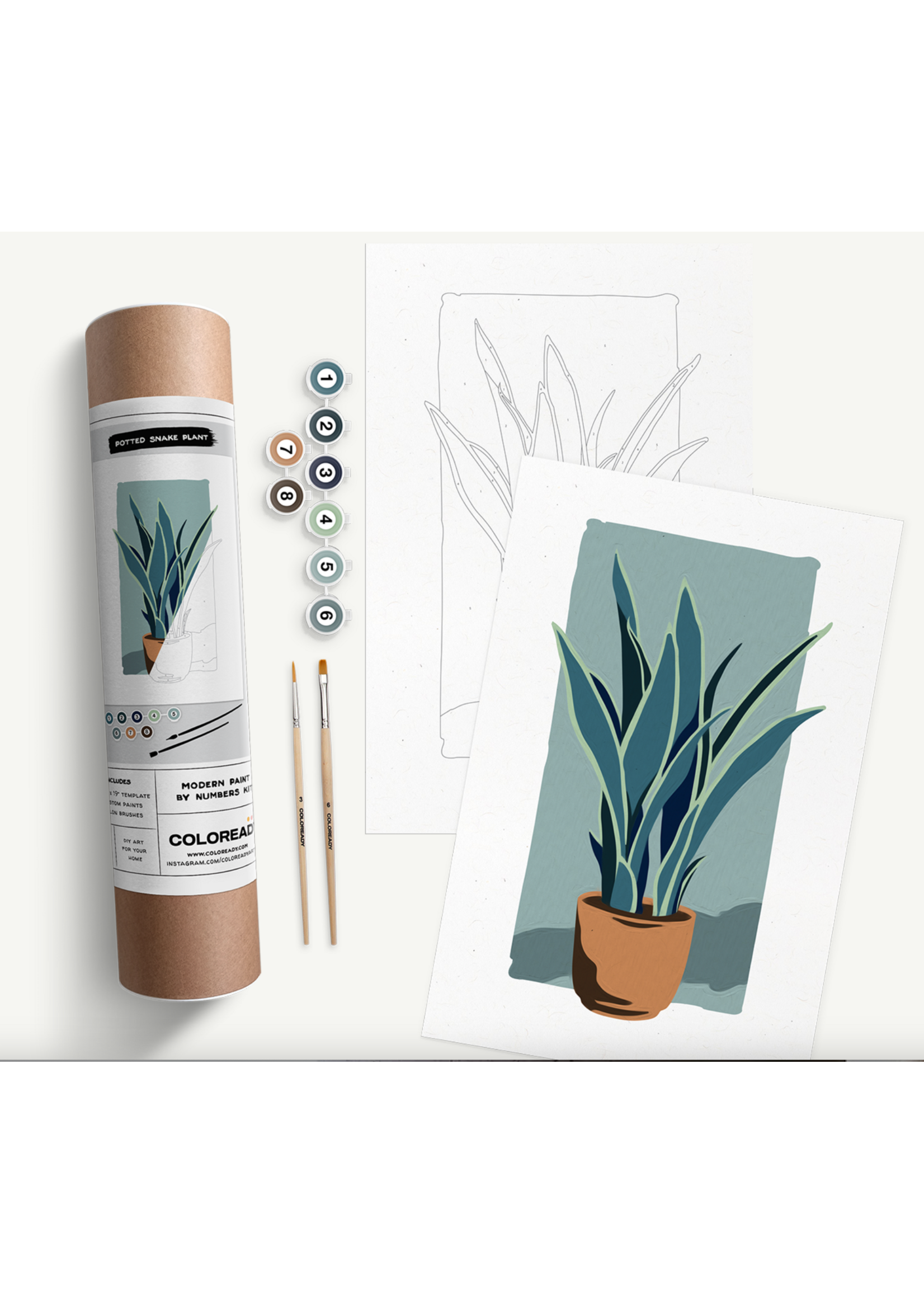 Coloready Potted Snake Plant