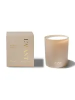 L'AVANT Collective Ambre Santal Candle