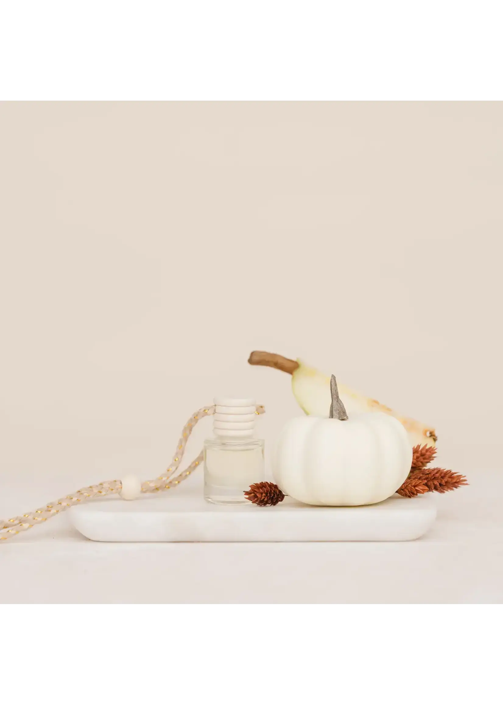 Ivy & Sage Co. Car Diffuser (Autumn Day)