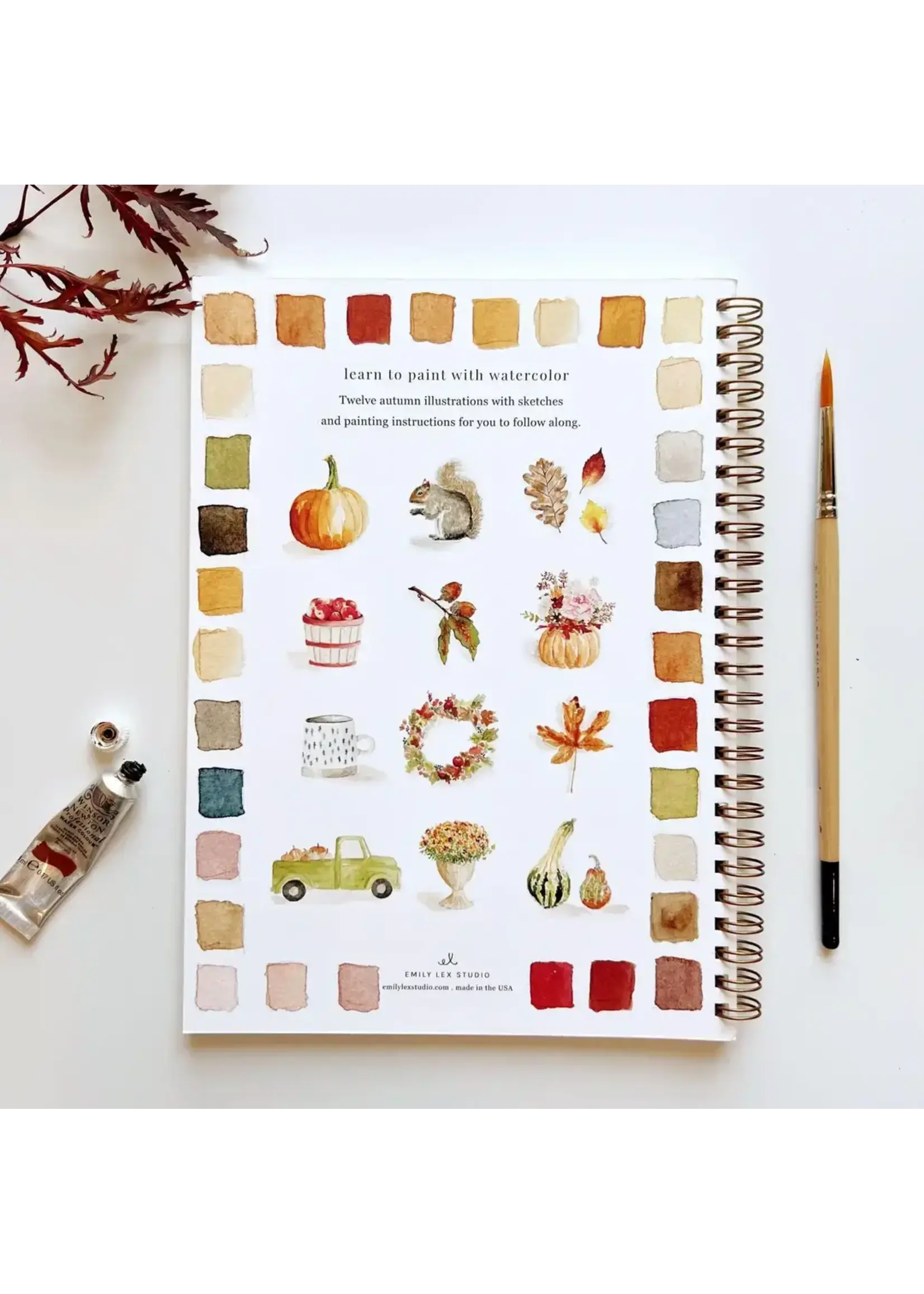 Emily Lex Studio Autumn Watercolor Workbook