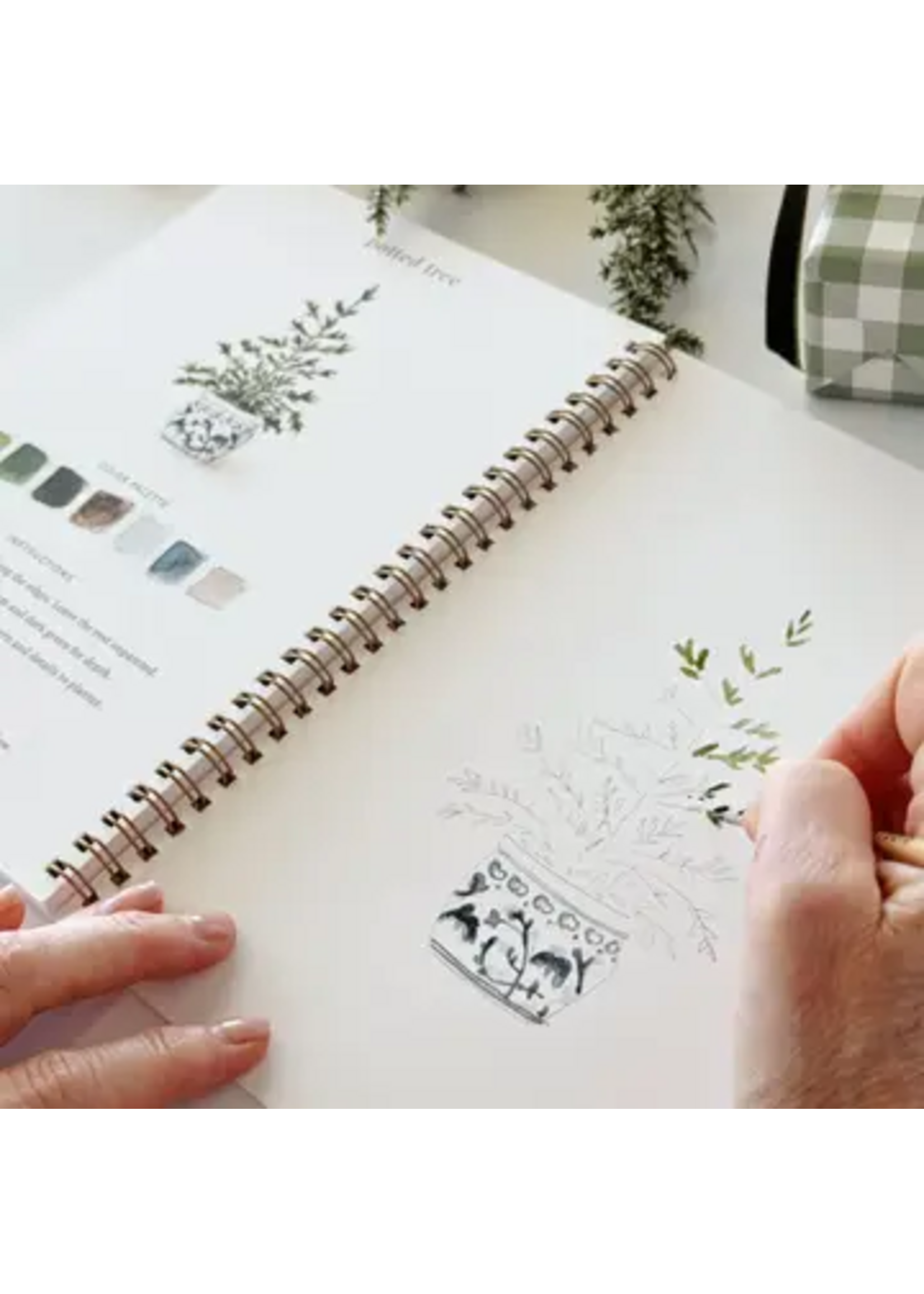 Emily Lex Studio Classic Christmas Watercolor Workbook
