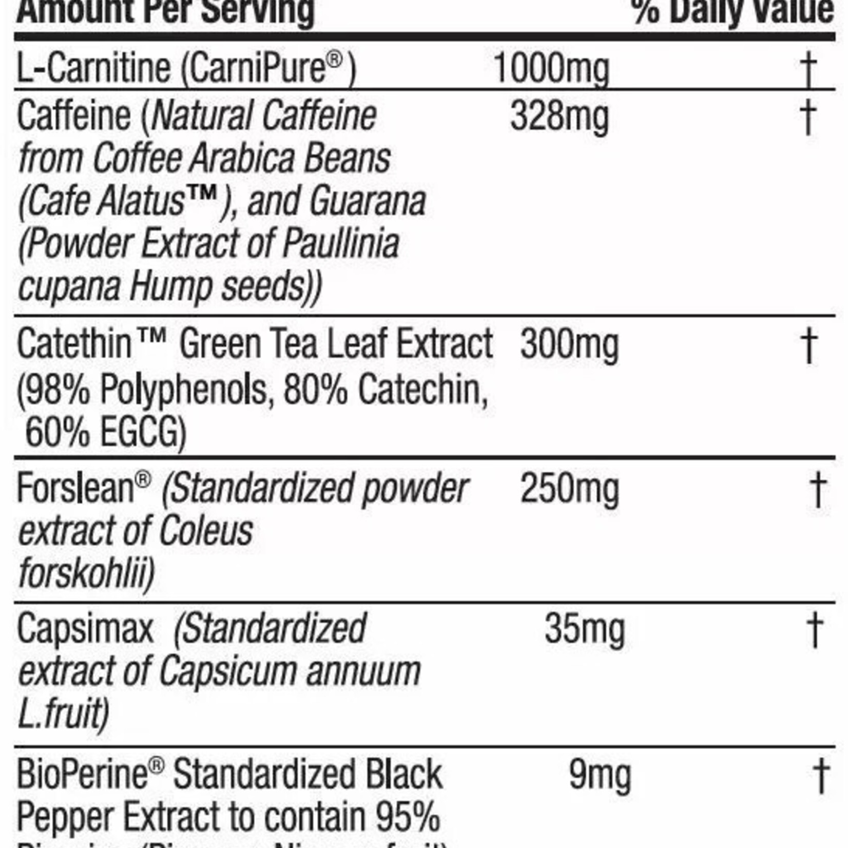 M Fit Supps M FIT SUPPS Torch