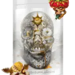 PANDA BLACK MAGIC Skull Pre-Workout