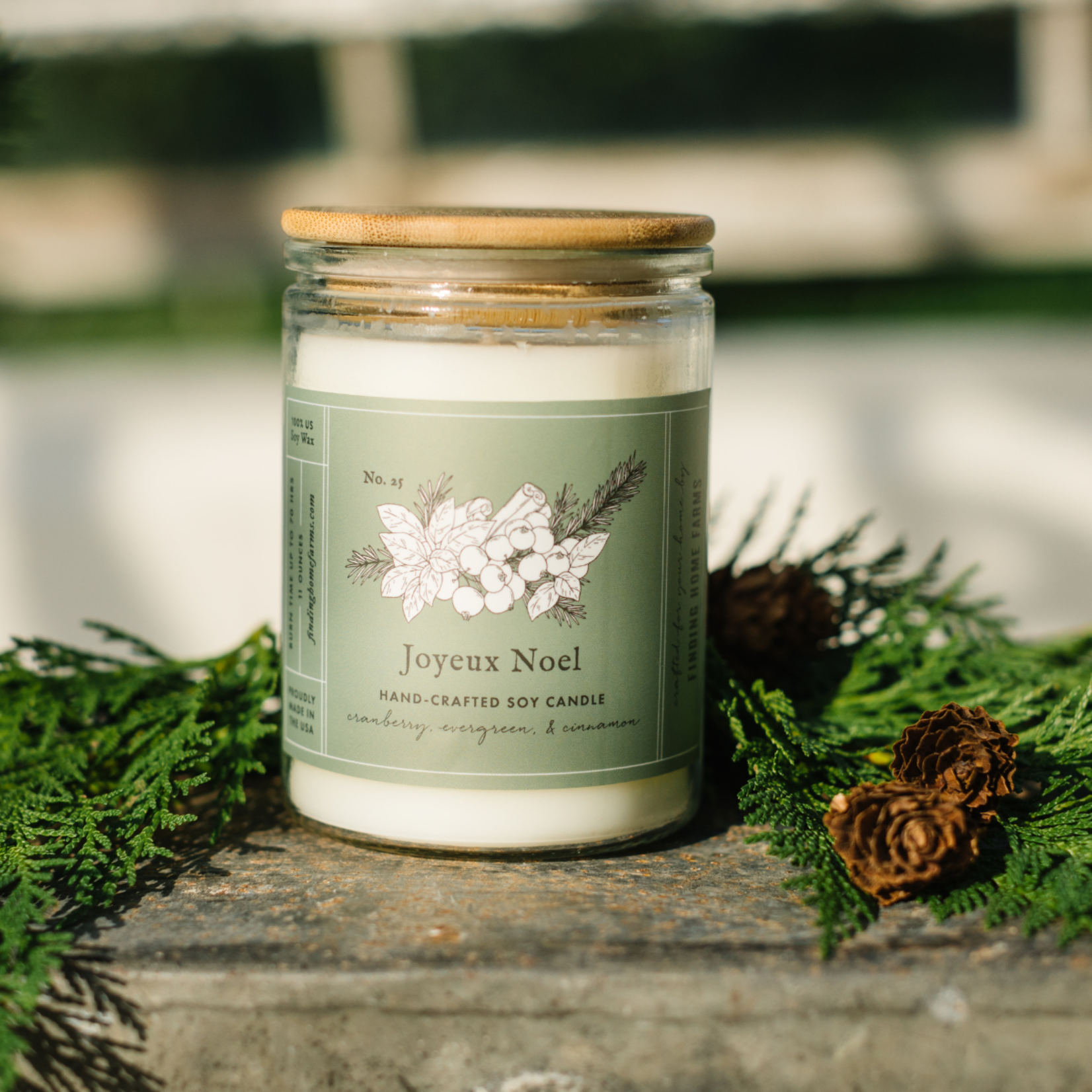 Lemon Verbena Soy Candle Large|Finding Home Farms