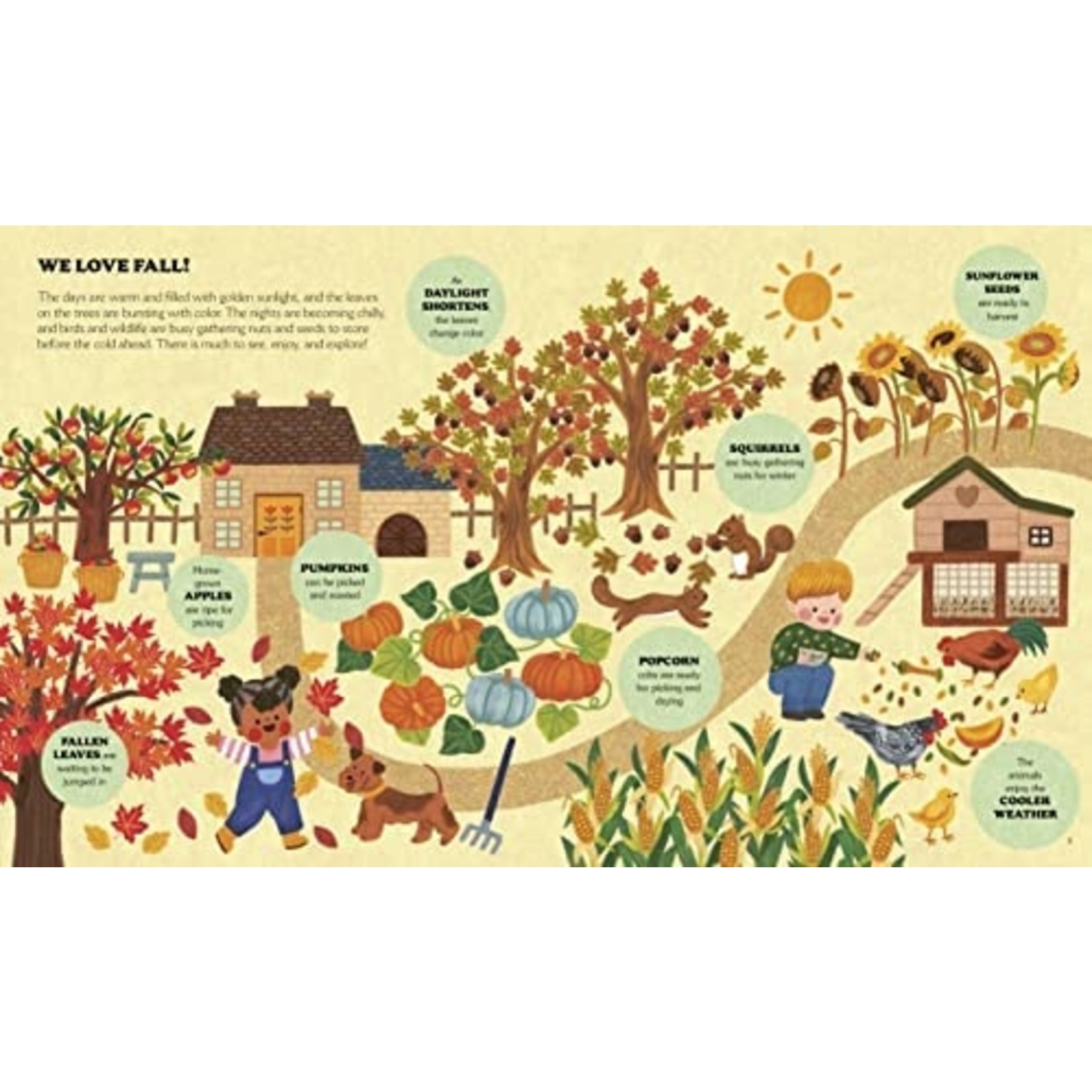 Hachette Book Group Little Homesteader A Fall Treasury