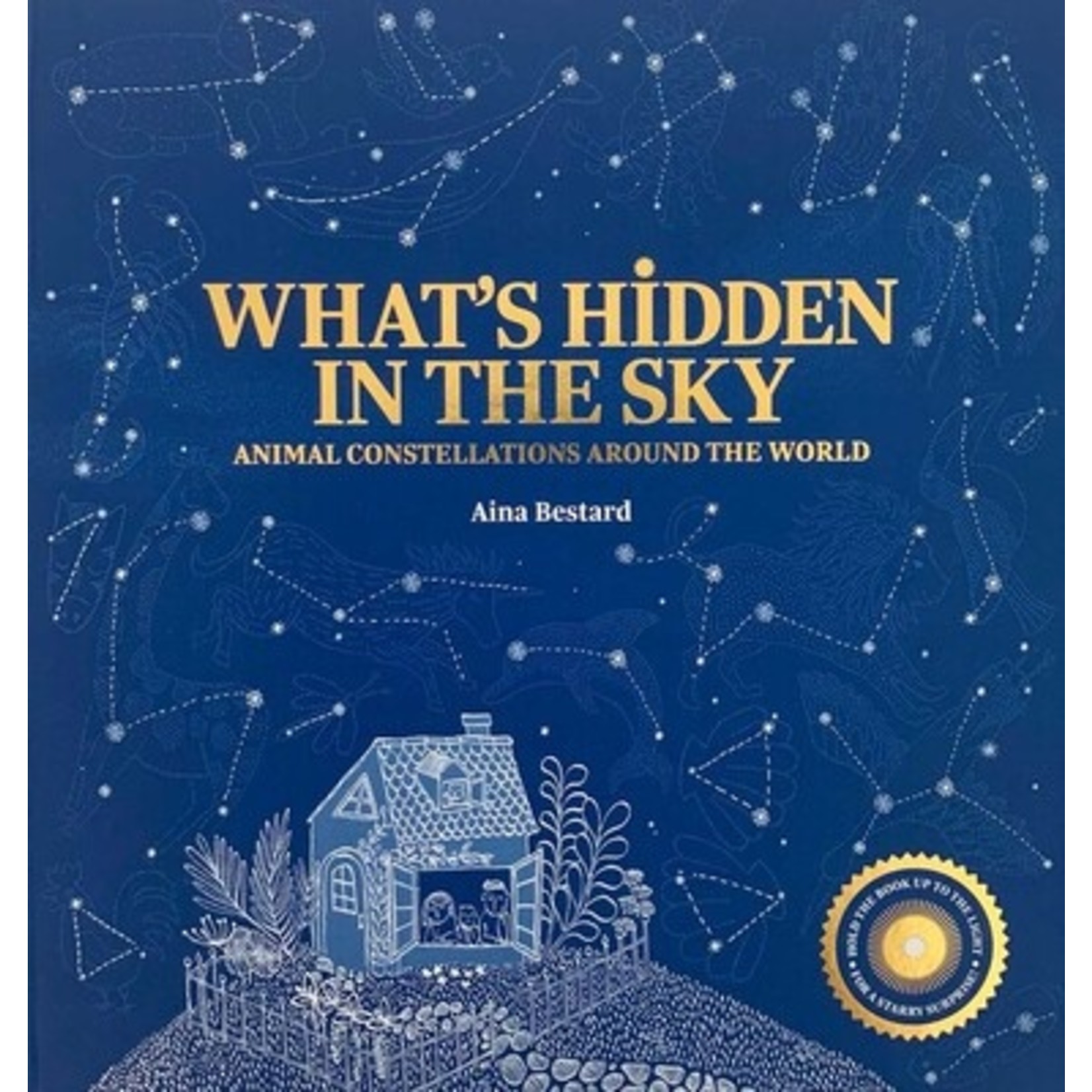 Simon and Schuster What's Hidden In the Sky