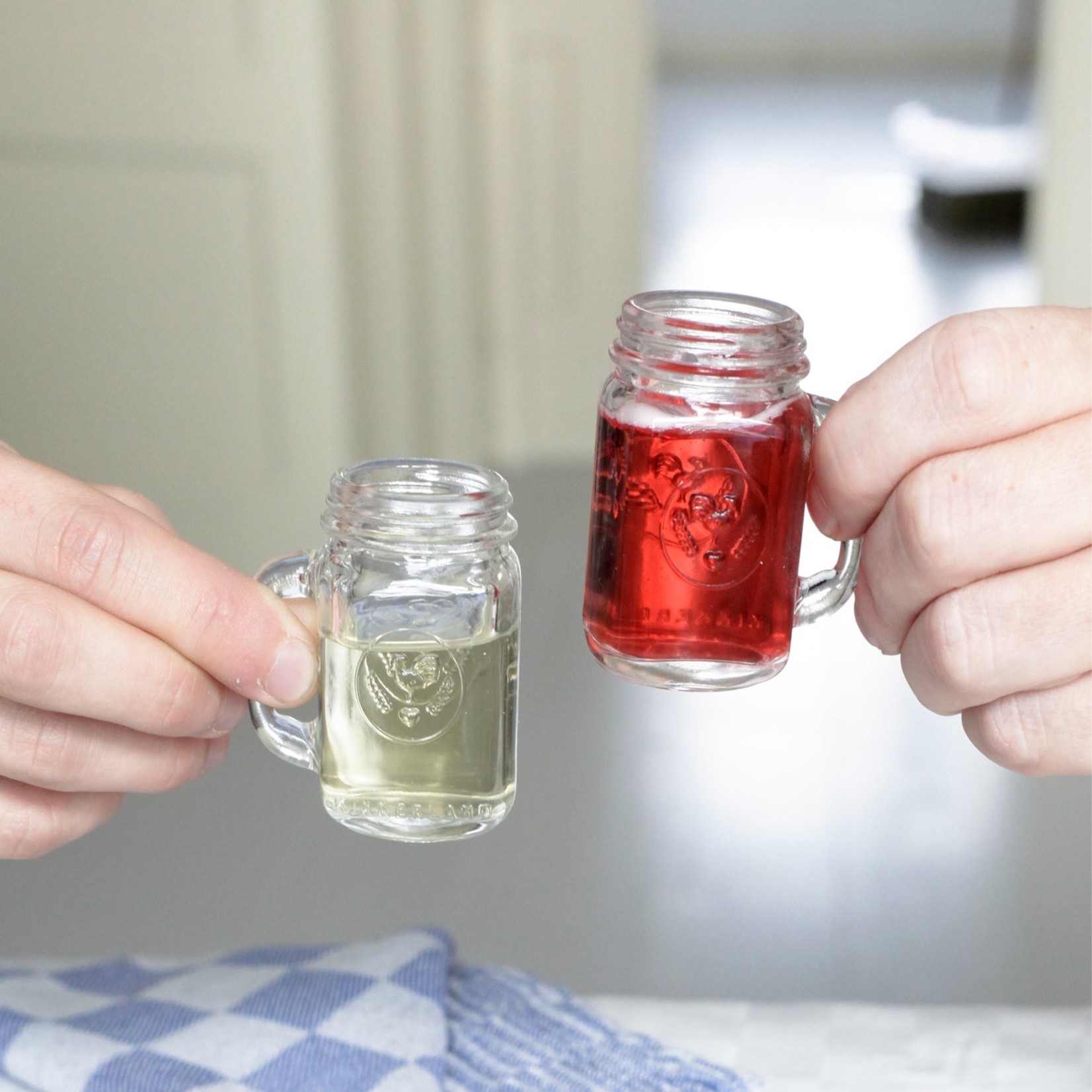 Kikkerland Mason Jar Shot Glasses