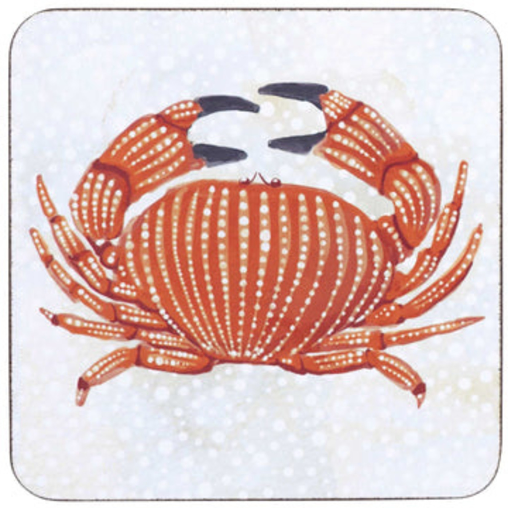 Rockflowerpaper Crab Square Art Coasters - Set of 4