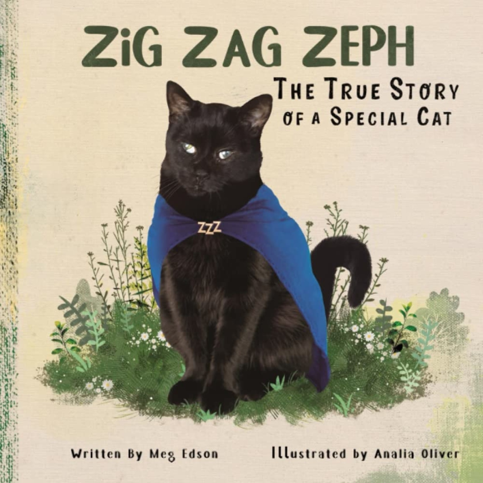 Meg Edson Zig Zag Zeph Book