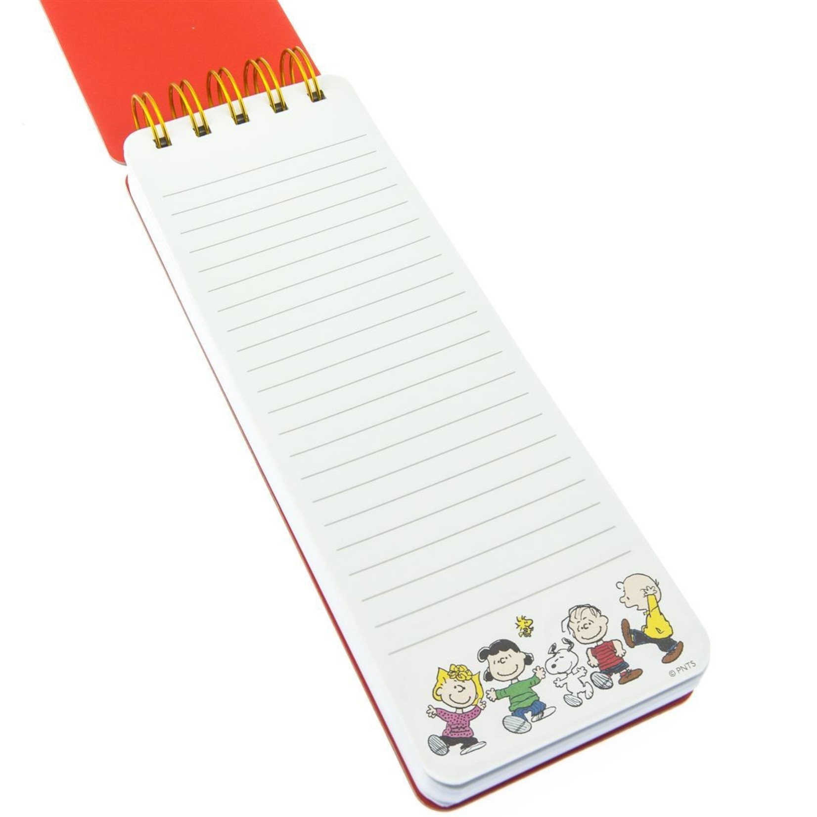 Graphique Reporter Notepad