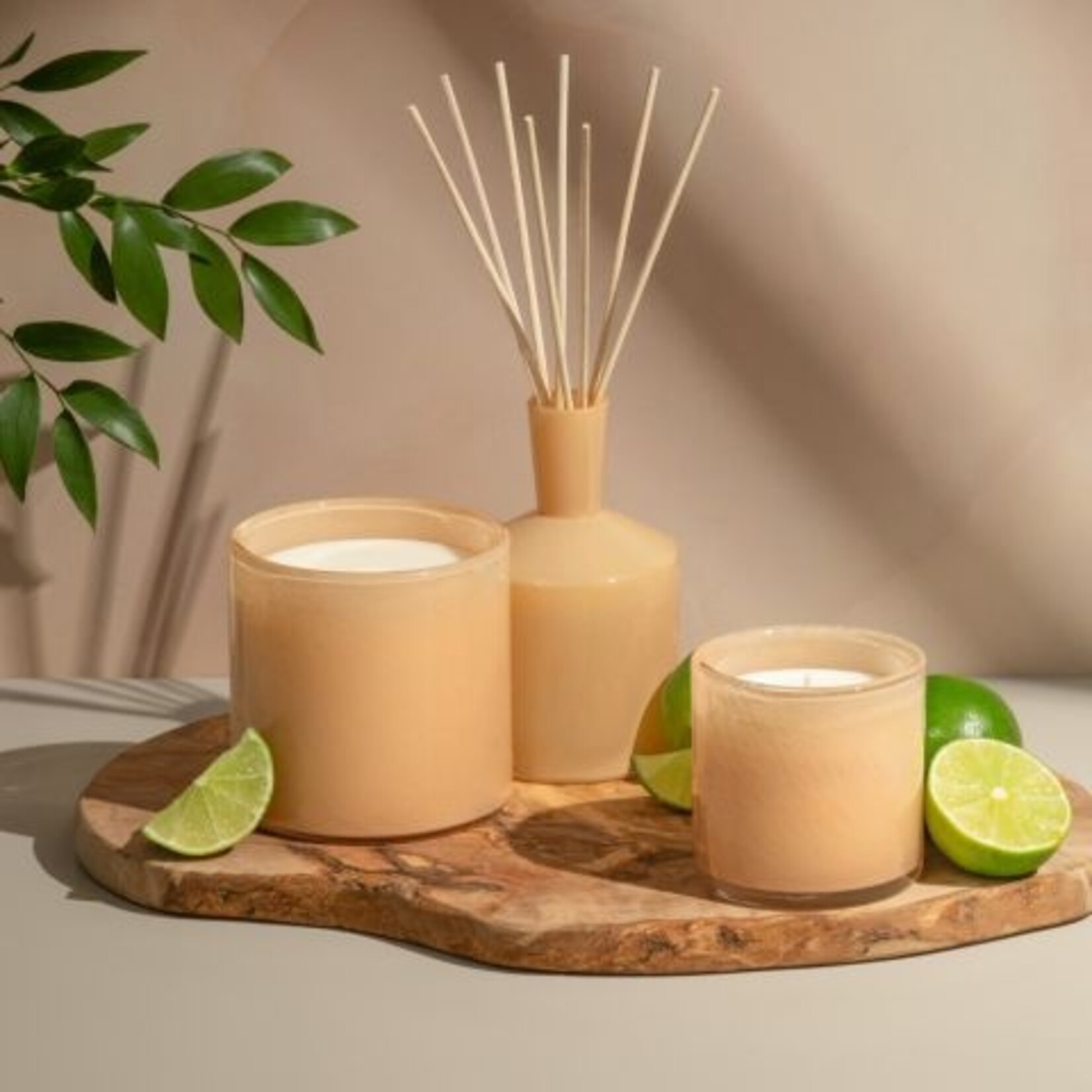 LAFCO LAFCO Veranda -  Paloma Melon Candle (6.5 oz)
