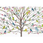Peter Pauper Press Tree of Budgies Note Cards