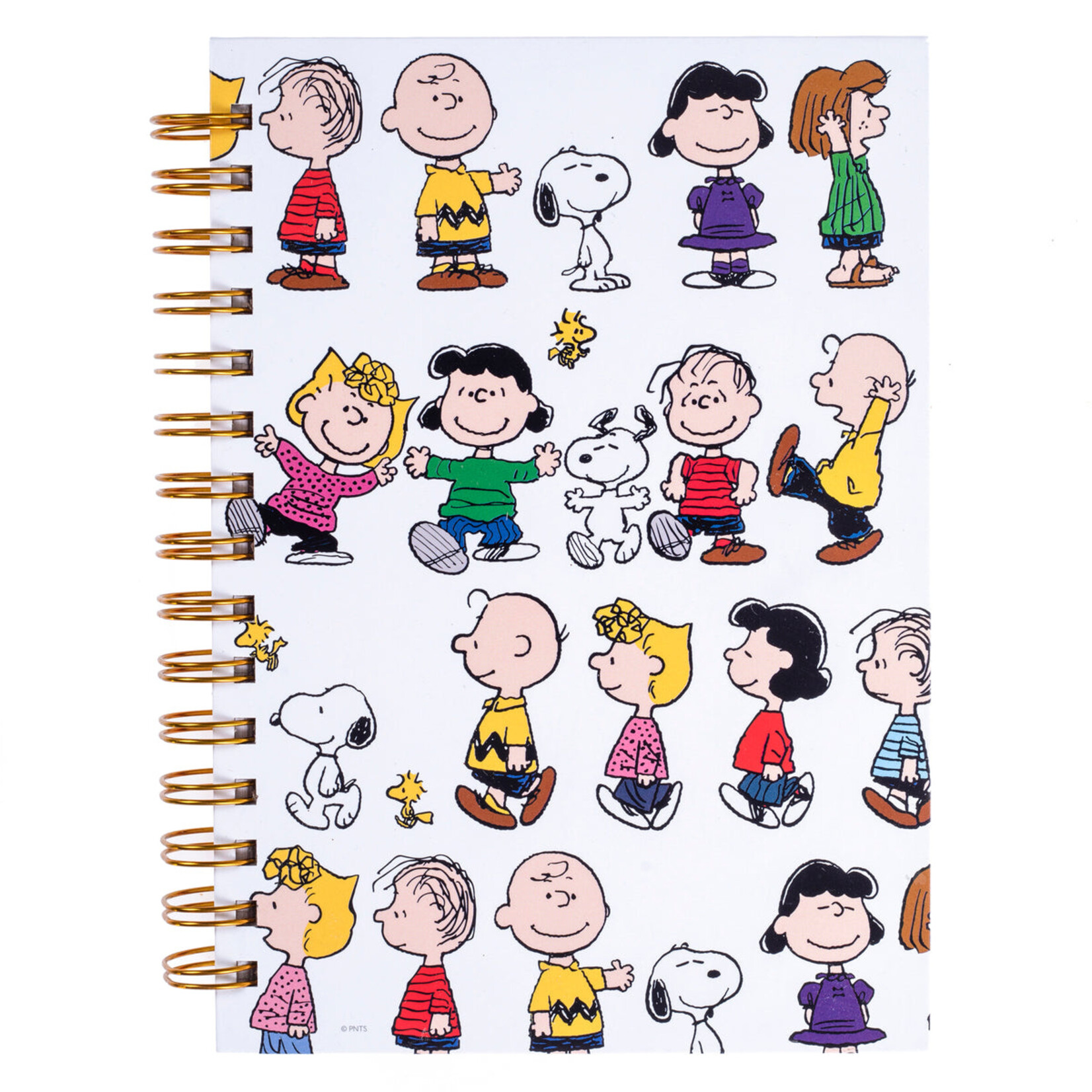 Graphique Peanuts Gang Hardbound Journal