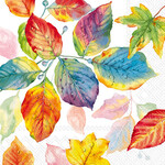 Boston International, INC IHR Cocktail Napkins Colorful Leaves