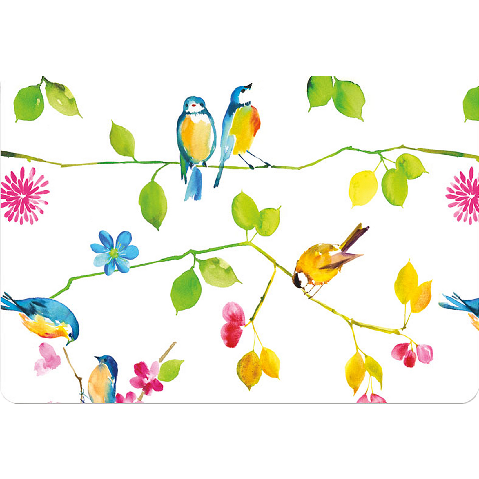 Peter Pauper Press Watercolor Birds Note Cards