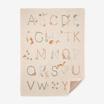 Elegant Baby Wheat Alphabet Basics Knit Baby Blanket