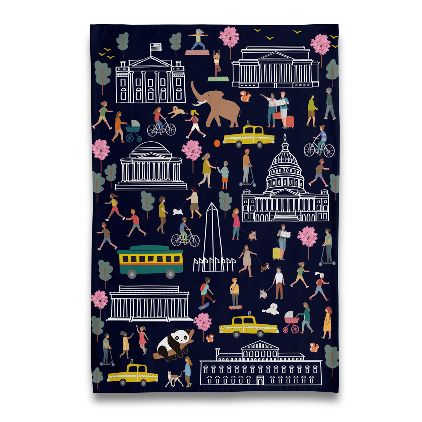 Naked Decor Naked Decor We Love DC Dish Towel