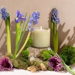 LAFCO LAFCO Greenhouse -  Wild Honeysuckle Signature Candle (15.5 oz)