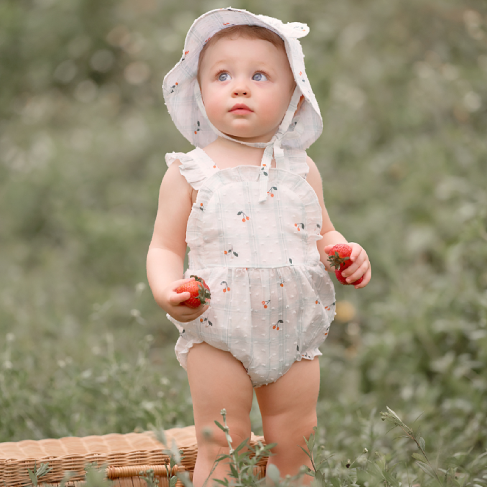 Elegant Baby Elegant Baby Strawberry Picnic Swiss Dot Bubble