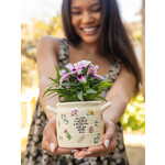 Natural Life World Better Medium Crock Planter