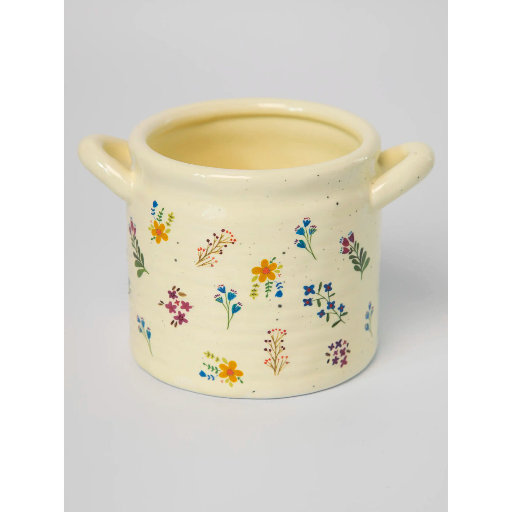 Natural Life World Better Medium Crock Planter