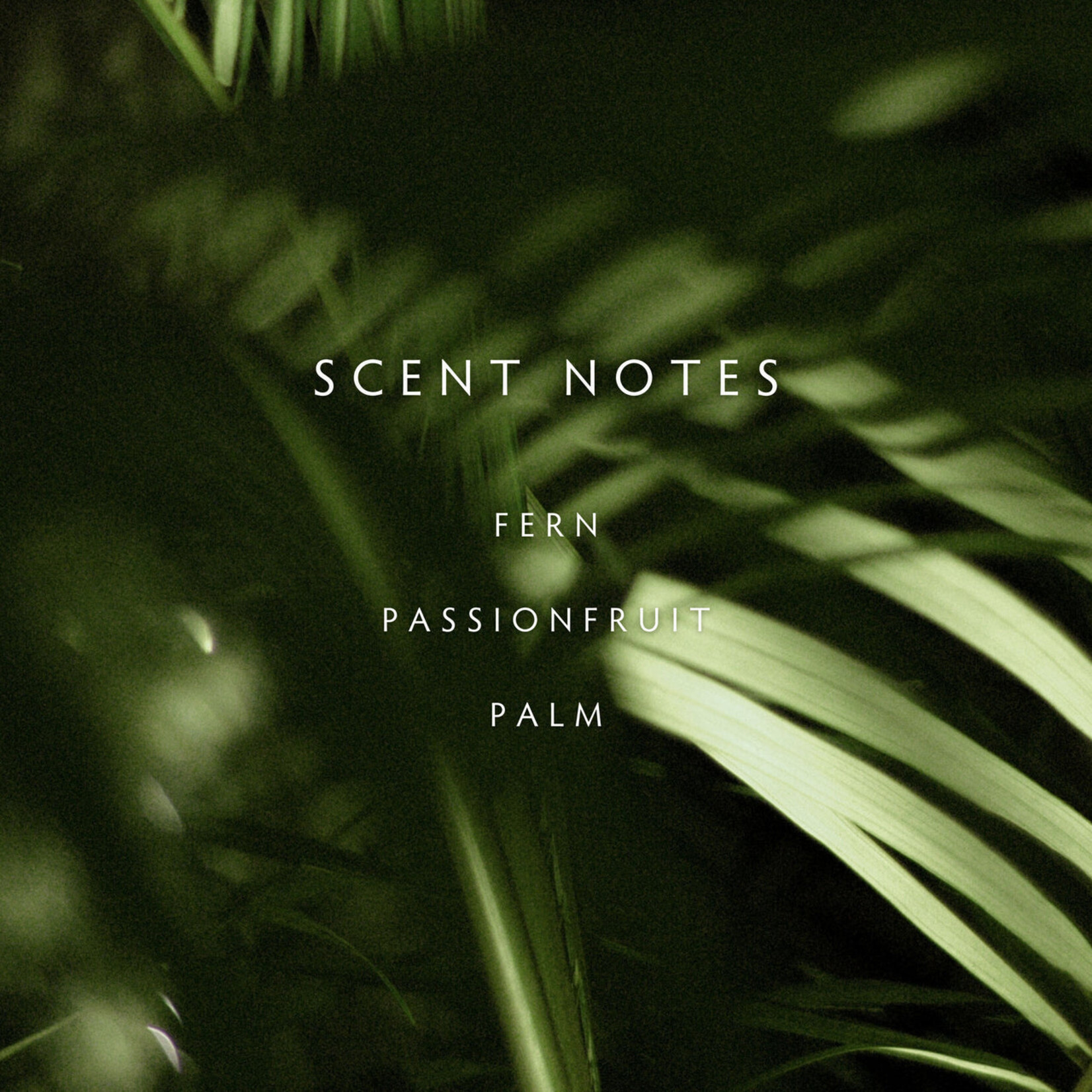 Linnea Linnea Rainforest Palms  Two-Wick Candle