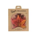 HIC Harold Import Co Sisson Fall Parchment Leaves - Set of 20