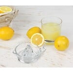 HIC Harold Import Co HIC Glass Citrus Juicer