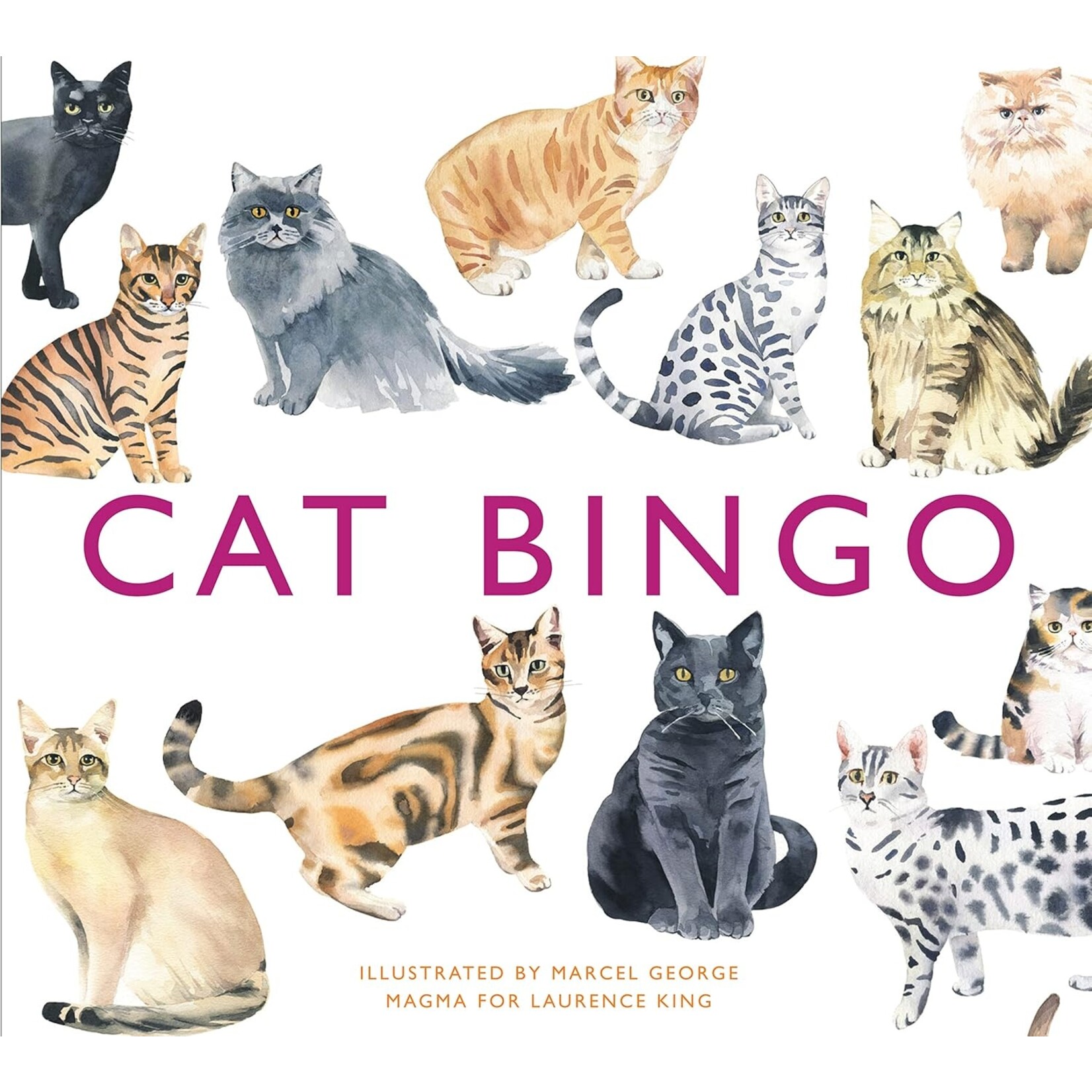 Hachette Book Group Cat Bingo