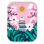 Trays4Us Capitol Magnolias 11"x8" Tray