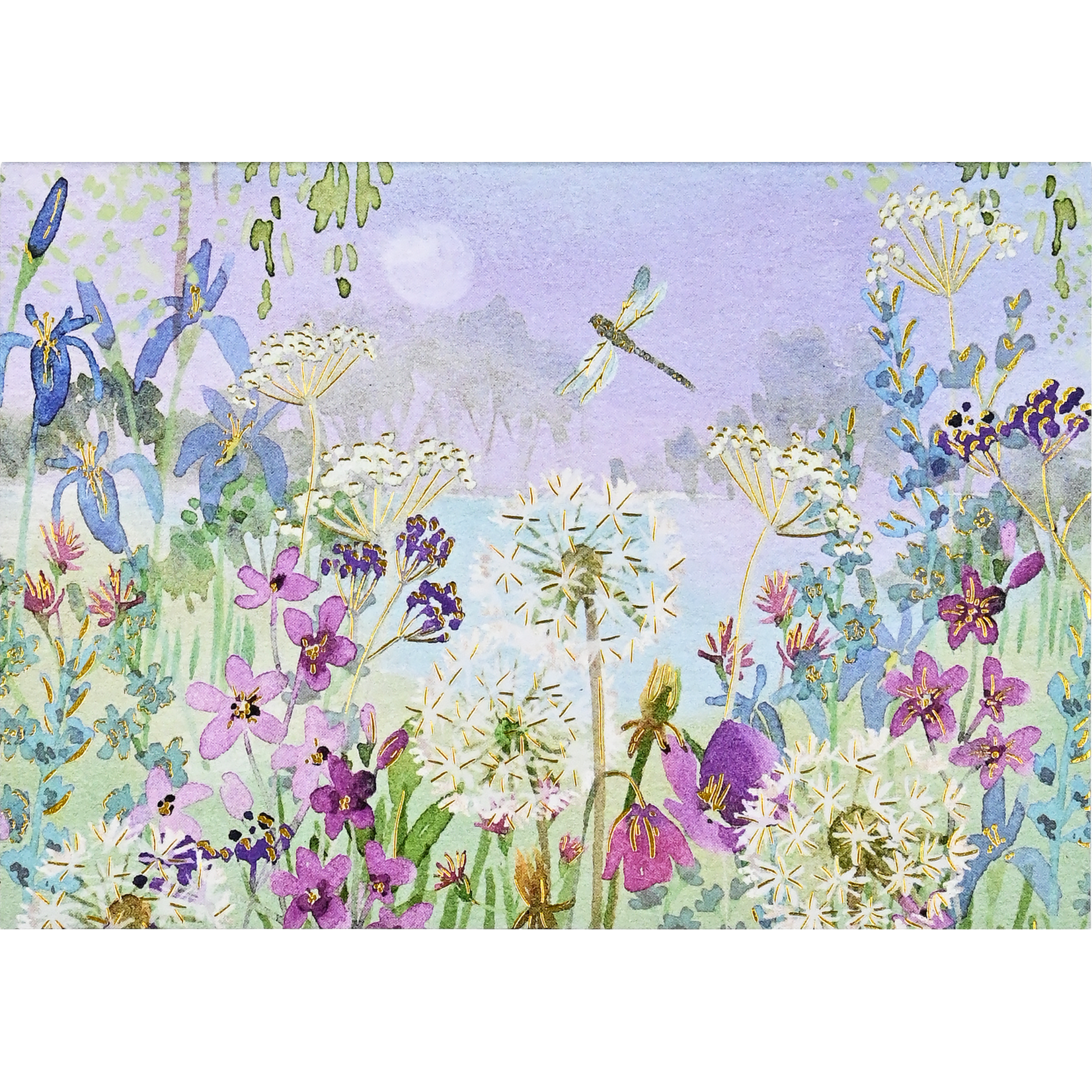 Peter Pauper Press Dragonflies & Dandelions Note Cards