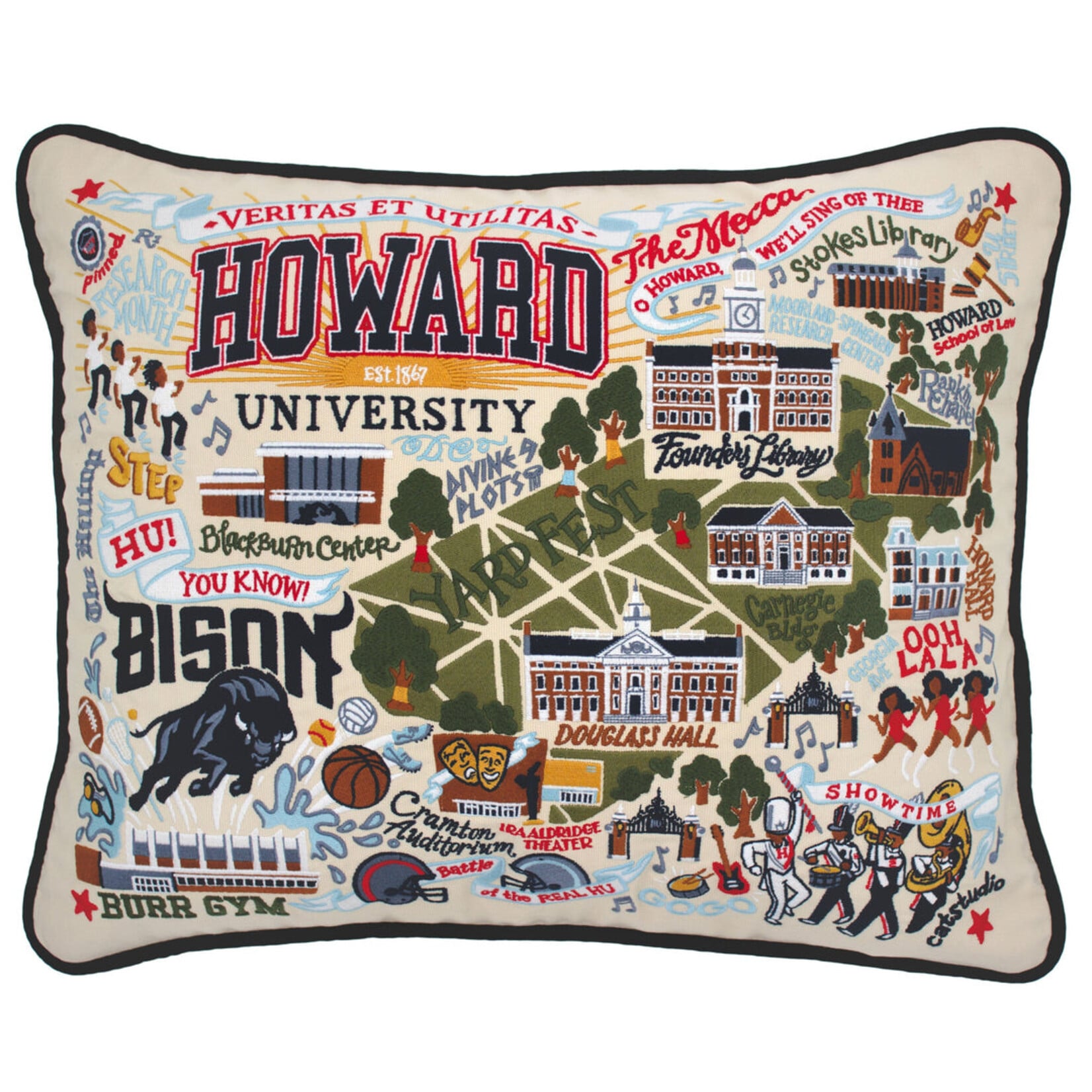 Catstudio Catstudio Collegiate Howard University Pillow