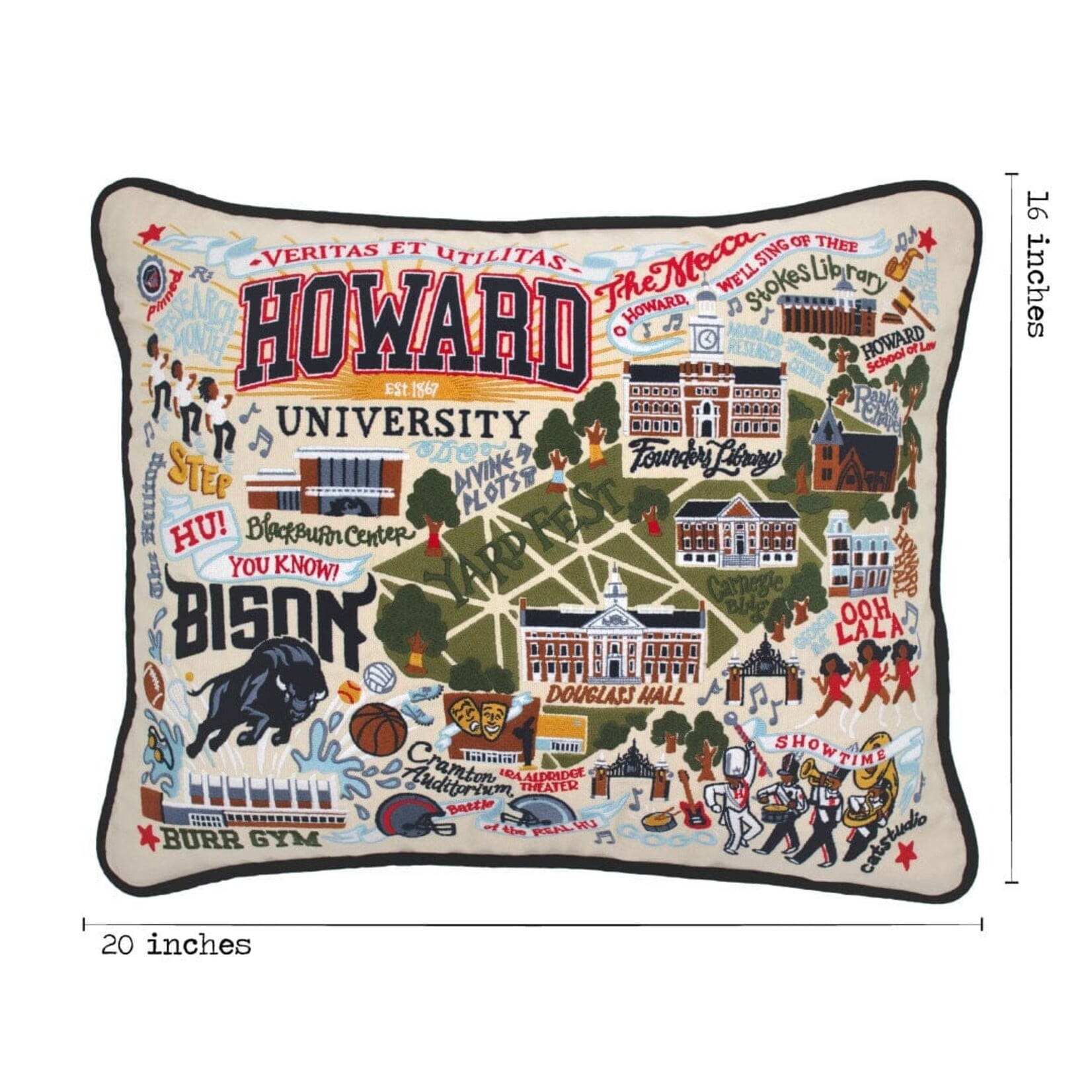 Catstudio Catstudio Collegiate Howard University Pillow