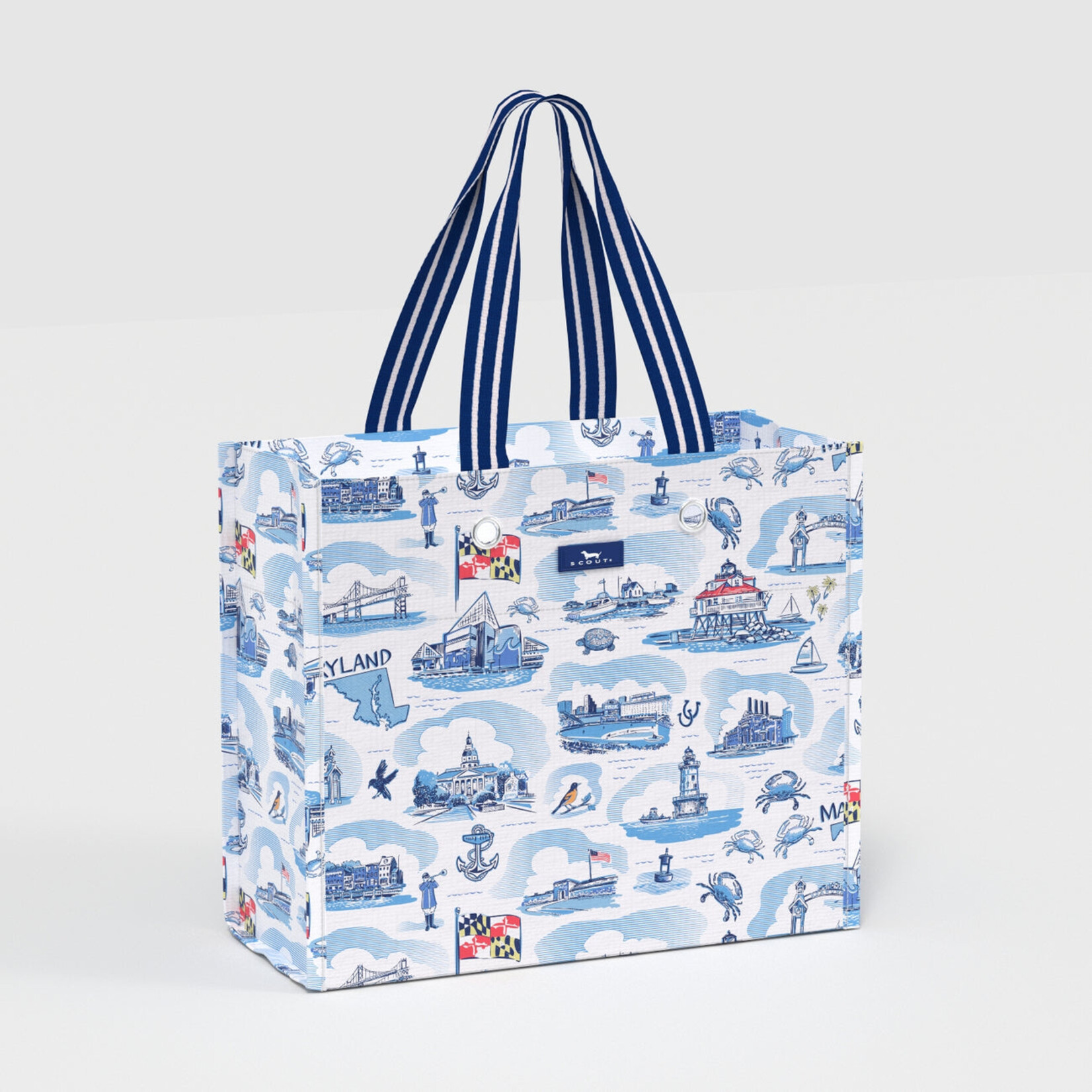 Scout Scout Large Package Gift Bag