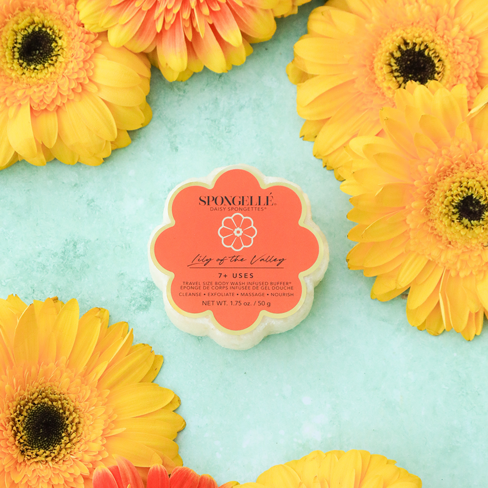 Spongelle Spongette 1.75 oz