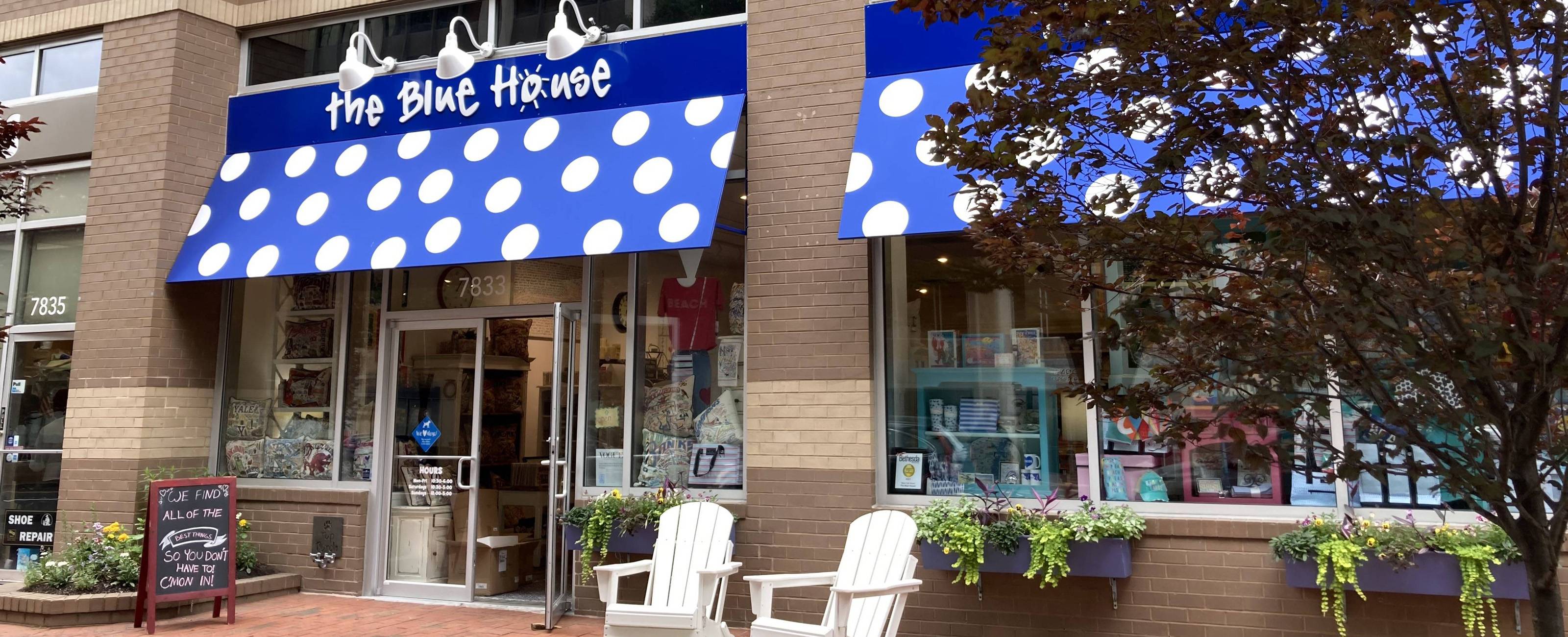 The Blue House business photo