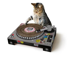 Cats With Jobs on X: Club DJ  / X