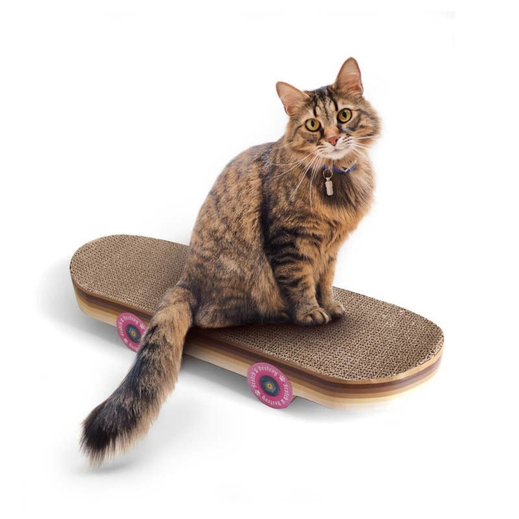 SUCK US Skateboard Cat Scratcher