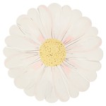 Meri Meri Wild Daisy Plates