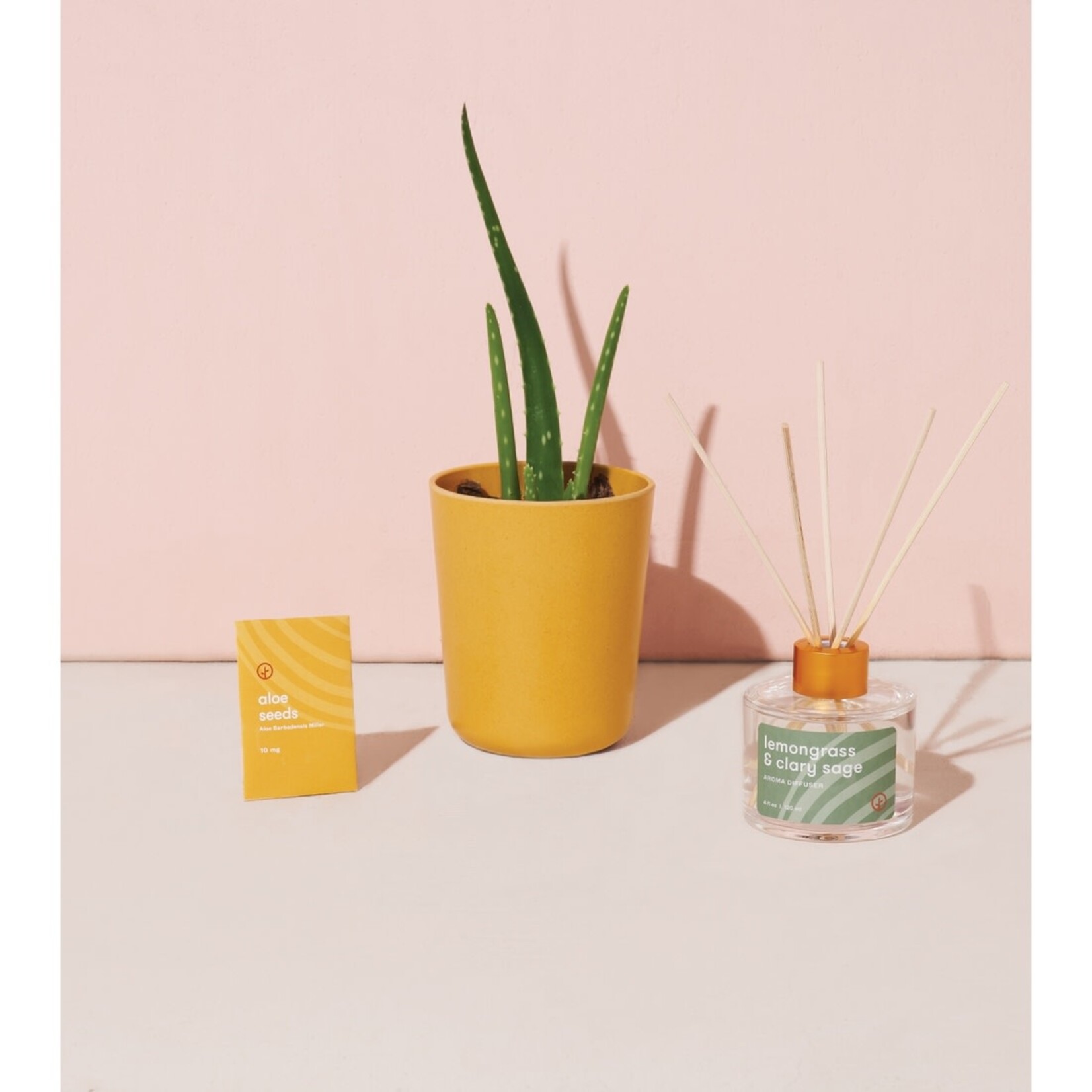 Modern Sprout Find Balance - Grounding Aloe Kit