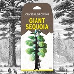 Copernicus Toys CRYSTAL GROWING GIANT SEQUOIA