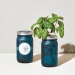 Modern Sprout Garden Jar - Basil