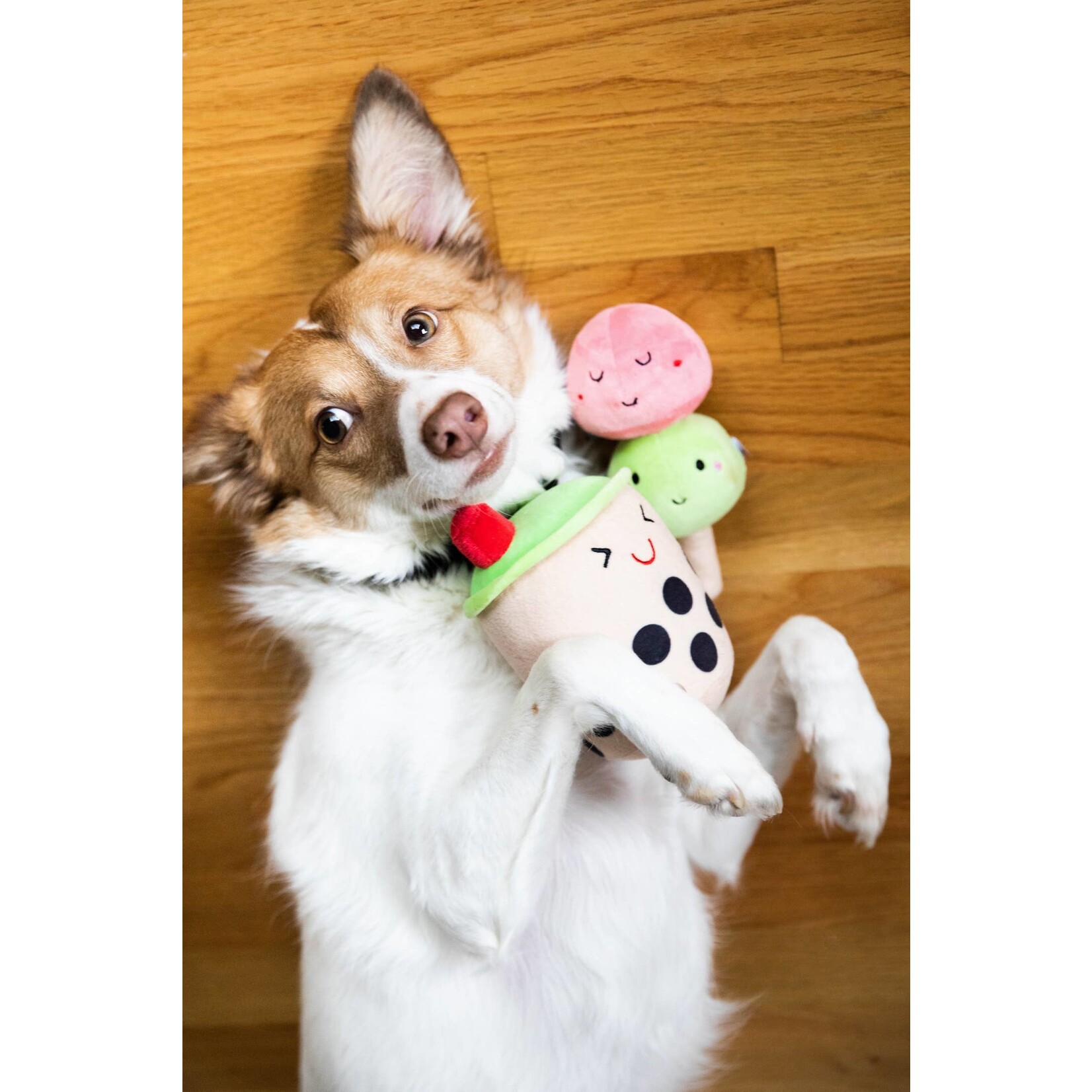 Pearhead Bubble Tea Dog Toys, Set of 2