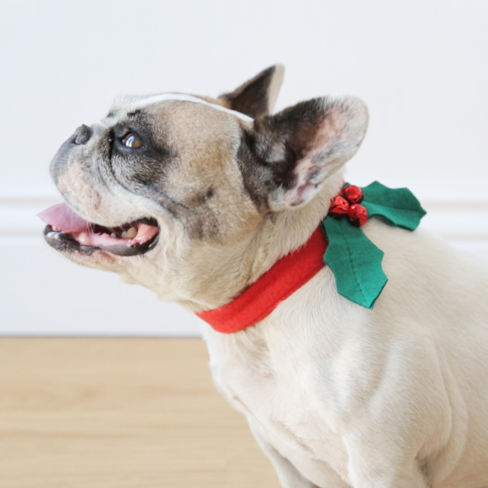 Talking Tables Christmas Dog Collar Accessory