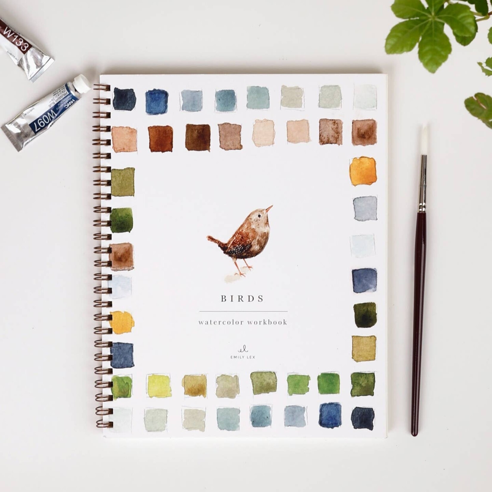 emily lex studio Birds Watercolor Workbook