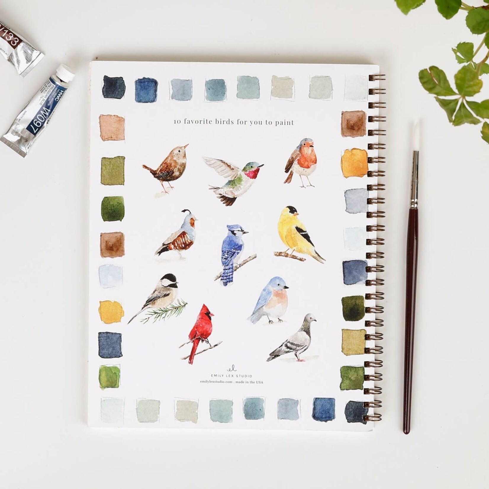 emily lex studio Birds Watercolor Workbook